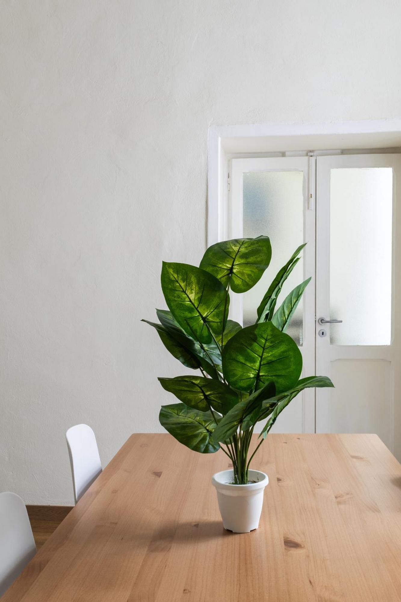 Cozy Historical Flat Napoli Apartamento Exterior foto
